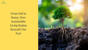 From Soil to Home: How Sustainable Living Begins Beneath Our Feet