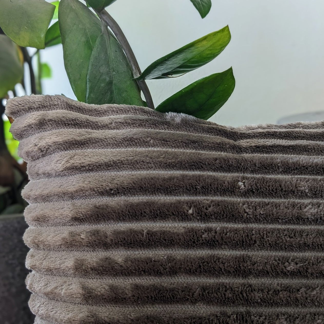 Velvet Trail Taupe Cushion Cover, Pack of 2, 16" x 16" - Coral Slub - 